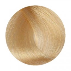 Стойкая крем-краска 10N/W Wild Color Permanent Hair Color Natural для волос 180 мл.