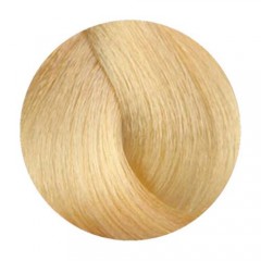 Стойкая крем-краска 10N/A Wild Color Permanent Hair Color Natural для волос 180 мл.