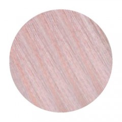 Стойкая крем-краска 12/81 SSPA Wild Color Permanent Hair Color Platinum для волос 180 мл.