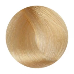 Стойкая крем-краска 10N/W Wild Color Permanent Hair Color Natural для волос 180 мл.